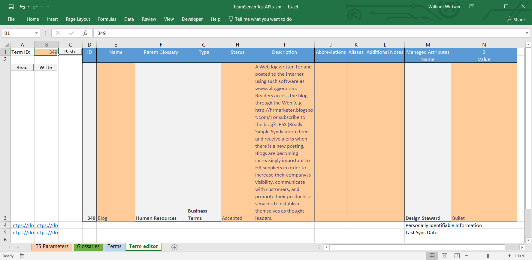 Term editor worksheet Term Editor